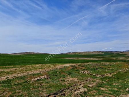 Gölbaşı Mahmatlı İmar Sınırında Satılık Tarla