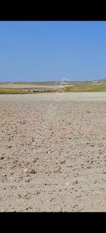 Polatlı Müslüm Mah. Yapılaşma İçinde Tek Ve Kök Tapu Satılık