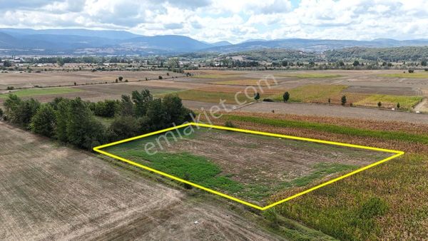 Bolu Kasaplar'da Otoban'a Yakın Yatırımlık Tarla