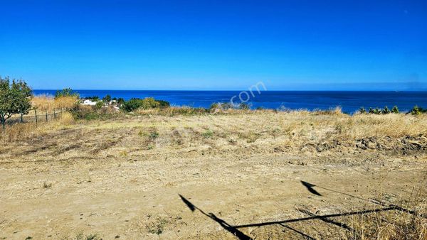 Tekirdağ Barbarosta 560 M2