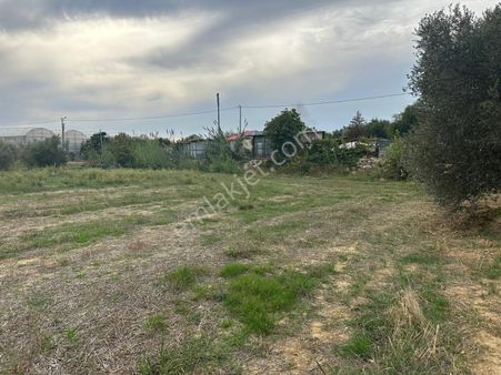 Antalya Manavgat Yavrudoğan Mahallesi Satılık Tarla