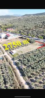 64 Dairelik Fırsat Arsa