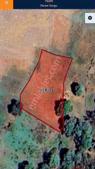 Elif Gayrimenkul Den Beypazarı Uruş'ta Tek Tapu Kupon Tarla