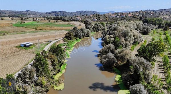 Akkum Köyünde Nehir Kenarında 5.000 M² Fırsat Tarla