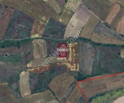 Küyahya Tavşanlı Gazelyakup Köyünde 1.339 M² Tarla Satılıktır