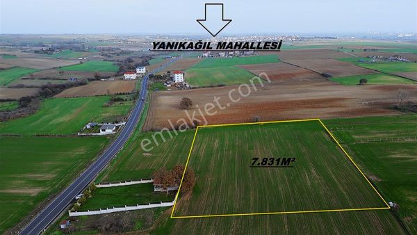 Ergene Velimeşe Mahallesi 7.831m² İmar Sınırında Satılık Tarla