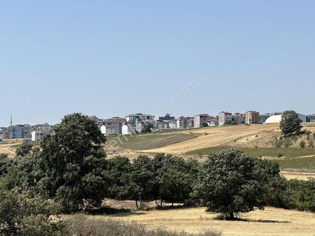 Çerkezköy Bağlık Mah İmar Sınında 250m² Satılık Hisse