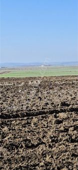 Altun Arsa Ofisi,nde Evrensekizfatih Al Sata Uygun