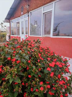 Güdül Güneycede Acil Müstakil Ev Fırsat 2675 M2 Arsalı Takaslı