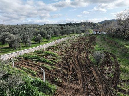 Körfezin İncisi Taylıeli Köyünde Satılık 1168m2 Bahçe Tapulu Arazi