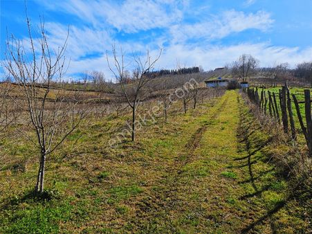 Turyap Körfezden Böğürgen Seferlerde Satılık 14.381 M2 Fındıklık