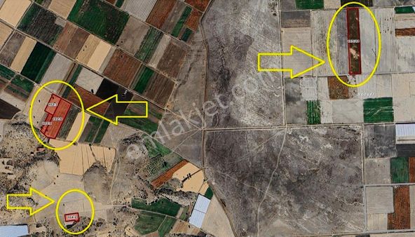 Tefenni Seydiler'de Satılık 56 Dönüm Tarla