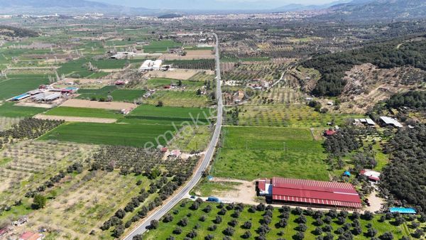Kaçmaz Emlaktan Selçuk Yolu Üzeri Satılık Çiftlik 20.000 M2