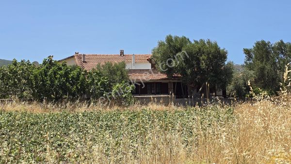 İzmir, Urla, Gülbahçe' De Muhteşem Konumlu 4+1 Satılık Villa