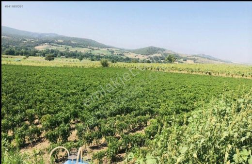 Yenişehir İncirli Köyünde Yola Cepheli Suyu Olan 3,600 M2-tarla