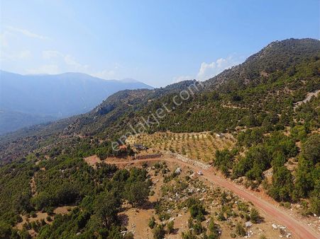 Kuzca Köyü Keleste Herşeyi Hazır Çiftlik Ve Arsası Kurulu Düzen