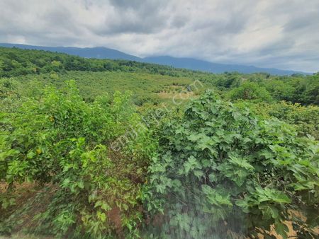 24-şeker Emlak Doğa İçinde Müstakil 3+1-130m2 Eşyalı Kiralık Ev