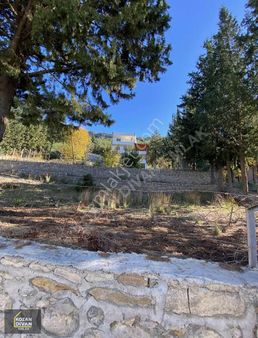 Kozan Divan Emlak'tan Gedikli'de Tripleks Villa