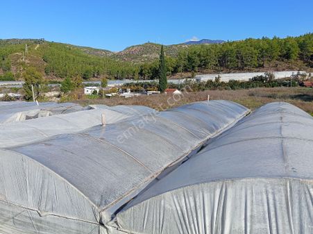 Ev Yapmak İçin Mükemmel Yer