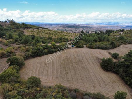Balıkesir Çağışta 7.200 M² Yola Cephe Tarla