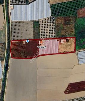 Manavgat Yeniköy Merkezde 4115m2 Satılık Tarla