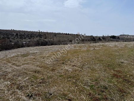 Özbey Emlak Mihalıççık Asfalt Yol Kenarı 39 Dönüm Arazi