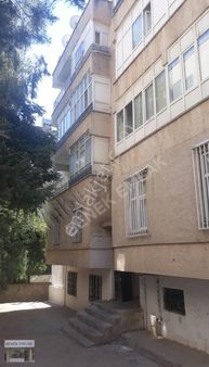 Benek Emlak Yeşildirek 3+1 Kiralık Daire