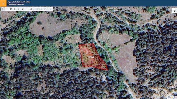 Başkan Emlaktan Satılık Bilecik Gölpazarı Hacıköy 1.313 M2 Bahçe