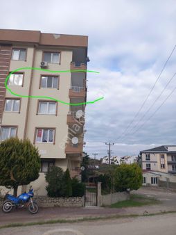 Çınarcık Koruda 3+1 Denize Yürüme Mesafesi 2 Dk