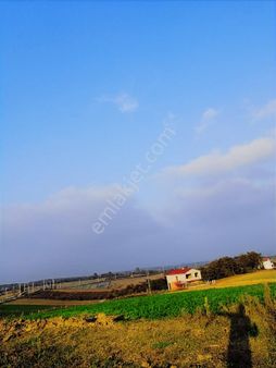 Sakarya Kaynarcada Baraja, Sanayiye Yakın, Köy'de Doğayla Yaşam