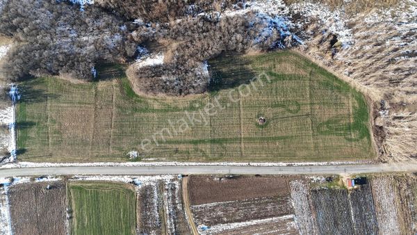 Bulvar Emlak'tan 285 Metre Asfalt Cephe Satılık Tarla