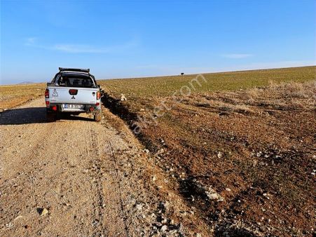 Başkan Emlaktan Satılık Seyitgazi İkiçeşme'de 13.610 M2 Tarla