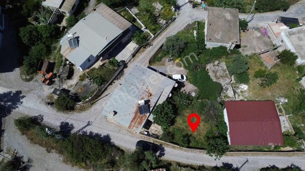 Muğla Milas Bozbük Köyünde Satılık Bahçe