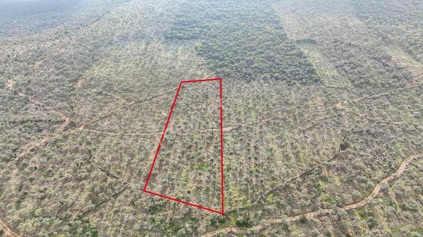 Milas Ovakışlacıkta Satılık Bakımlı Zeytinlik