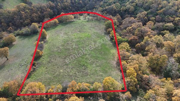 10.692 M² Müstakil Tarla, 3 Tarafı Orman, Gönen Sarıköy ' De