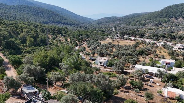 Bodrum Kızılağaç Mevkiinde 5.501 M2 Lik Arsa