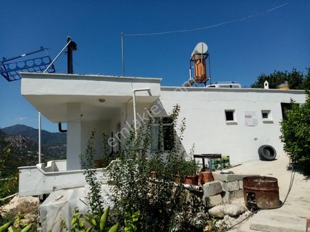 Silifke Degirmen Dere Keben Köyünde Erik Bahçesi