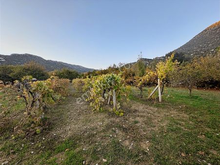 Antalya İbradı Yukarı Mahalle Satılık Tek Tapu Tarla