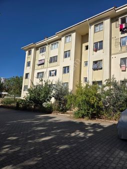 Akkuyu Toki 1+1 Yılbaşı Kampanyası