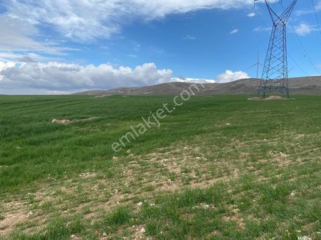 Meydan Mh. Satılık 32 Bin M² Müstakil Parsel