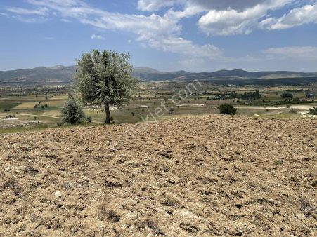 Kızılören De Yerleşim Yanı 2585 Mt2 Tek Tapu Etrafı Komple Mera