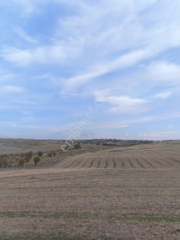 Turyap'tan Polatlı Kargalı'da 46 Dönüm Satılık Yatırımlık Tarla!