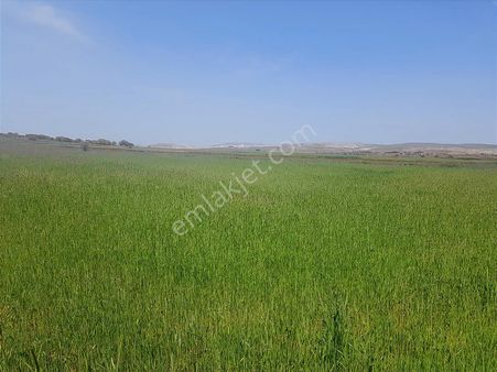 Başkan Emlaktan Satılık Nemli Mahallesinde 4.100 M2 Tarla