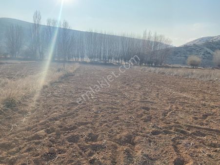 Küçükmuhsine De Satılık Bahçe