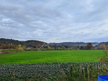 Antalya Manavgat Odaönü Mahallesi Satılık Tarla
