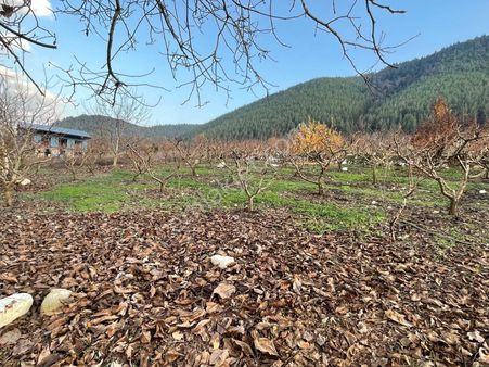 Toroslar Değirmendere Mahallesi Acil Satılık Arsa