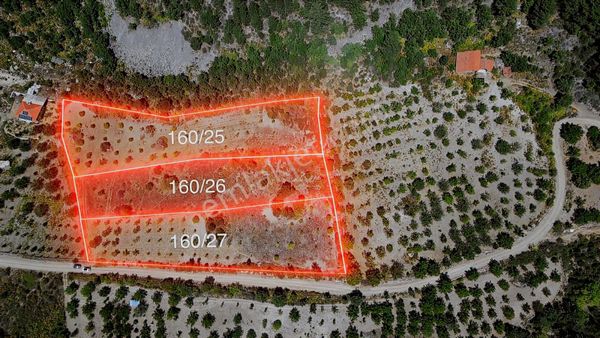 Turyap'tan Sındırgı Asardibi Mevkinde Satılık 4188 M2 Tarla