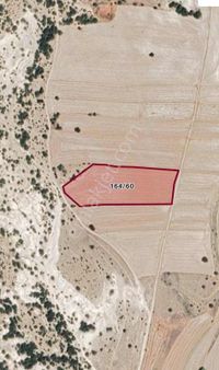 Özbey'den Beylikova Aşağıdudaş'ta 10.200 M² Hesaplı Tarla