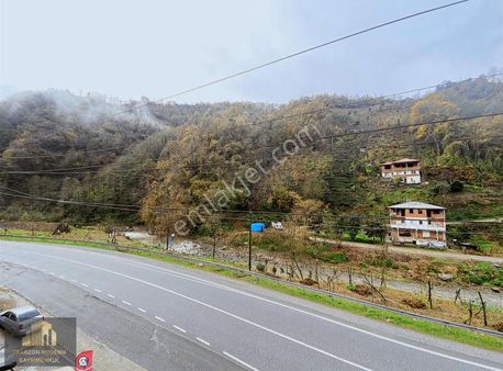 Trabzon Sürmenede Kiralık Tertemiz & Masrafsız Daire