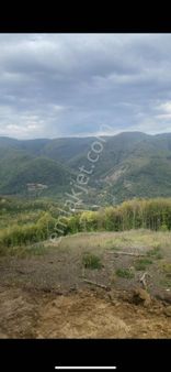 Zafer Emlaktan Satılık Tarla